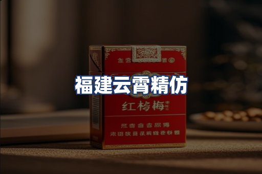 福建云霄精仿
